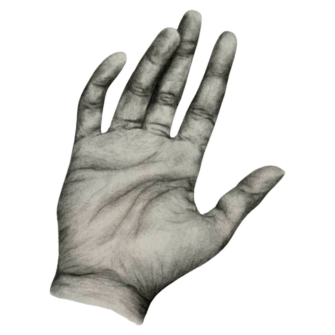 Hand 3